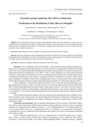 УТОЧНЕНИЕ РАСПРОСТРАНЕНИЯ ABIES SIBIRICA В МОНГОЛИИ