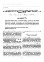 ЭКСПАНСИЯ АЗИАТСКОГО БЕКАСОВИДНОГО ВЕРЕТЕННИКА (LIMNODROMUS SEMIPALMATUS, CHARADRIIFORMES, SCOLOPACIDAE) В ЗОНУ ТАЙГИ