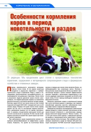 Особенности кормления коров в период новотельности и раздоя