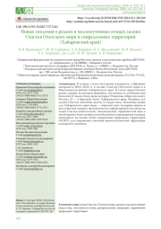 НОВЫЕ СВЕДЕНИЯ О РЕДКИХ И МАЛОИЗУЧЕННЫХ ПТИЦАХ ЗАЛИВА СЧАСТЬЯ ОХОТСКОГО МОРЯ И СОПРЕДЕЛЬНЫХ ТЕРРИТОРИЙ (ХАБАРОВСКИЙ КРАЙ)
