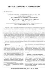 ООГЕНЕЗ СТЕРЛЯДИ (ААPENSER RUTHENUS LINNAEUS, 1758) ВОЛЖСКОЙ ПОПУЛЯЦИИ В УСЛОВИЯХ ИНДУСТРИАЛЬНОГО ПРЕДПРИЯТИЯ