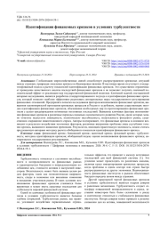 Идентификация финансовых кризисов в условиях турбулентности