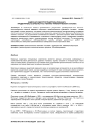 КАМЕННАЯ ИНДУСТРИЯ ПАМЯТНИКА ПИСАНАЯ I: ПРЕДВАРИТЕЛЬНЫЕ РЕЗУЛЬТАТЫ ТЕХНИКО-ТИПОЛОГИЧЕСКОГО АНАЛИЗА