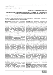 АНАТОМО-МОРФОЛОГИЧЕСКИЕ ОСОБЕННОСТИ СТРОЕНИЯ ЛИСТА CHIMAPHILA UMBELLATA НА ПРОМЫШЛЕННЫХ ОТВАЛАХ (СРЕДНИЙ УРАЛ)