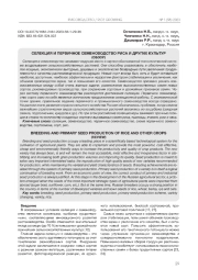 СЕЛЕКЦИЯ И ПЕРВИЧНОЕ СЕМЕНОВОДСТВО РИСА И ДРУГИХ КУЛЬТУР (ОБЗОР)
