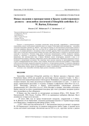 НОВЫЕ СВЕДЕНИЯ О ПРОИЗРАСТАНИИ В КРЫМУ ПЛЕЙСТОЦЕНОВОГО РЕЛИКТА - ЗИМОЛЮБКИ ЗОНТИЧНОЙ (CHIMAPHILA UMBELLATA (L.) W. BARTON, ERICACEAE)