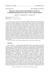 ИНВАЗИЯ ЧЕРЕДЫ ОБЛИСТВЕННОЙ BIDENS FRONDOSA L. В ПРИБРЕЖНЫЕ ФИТОЦЕНОЗЫ РЕКИ СЕЙМ В ГОРОДЕ КУРСКЕ