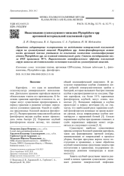 Инактивация суховоздушного мицелия Phytophthora spp   аргоновой нетермальной плазменной струёй