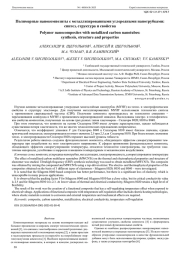 Полимерные нанокомпозиты с металлизированными углеродными нанотрубками: синтез, структура и свойства