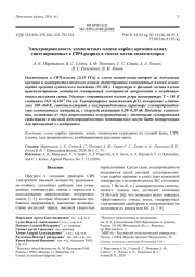 Электропроводность композитных пленок карбид кремния-алмаз, синтезированных в СВЧ-разряде в смесях метан-силан-водород