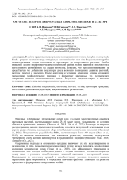 ОНТОГЕНЕЗ EULOPHIA STREPTOPETALLA LINDL. (ORCHIDACEAE) В КУЛЬТУРЕ