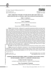 ТОНКОВАЛИКОВАЯ КЕРАМИКА ФИНАЛА РАННЕГО ЖЕЛЕЗНОГО ВЕКА ИЗ МОГИЛЬНИКА ПИНЧУГА-6 (НИЖНЕЕ ПРИАНГАРЬЕ)