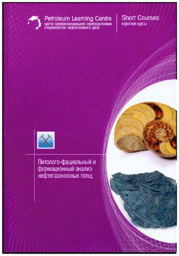 Литолого-фациальный и формационный анализ нефтегазоносных толщ