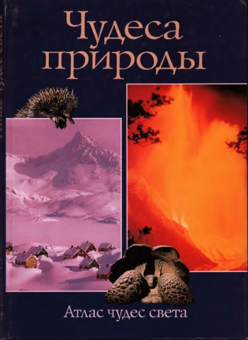 Чудеса природы