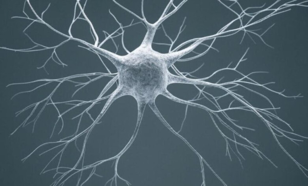 Ученые создали искусственные нейроны из бактерий, которые общаются как настоящие клетки мозга